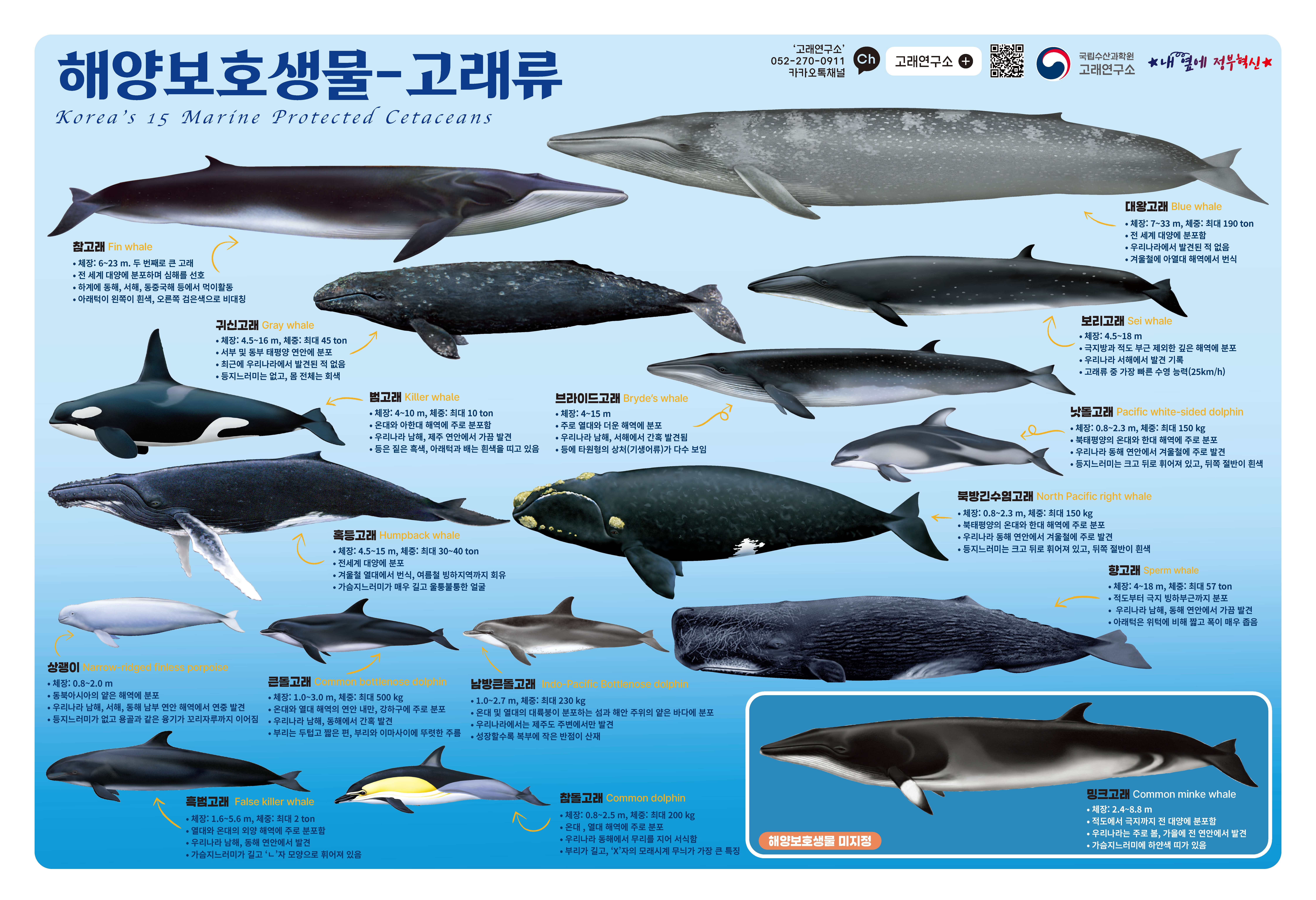 해양보호생물 포스터(2025)