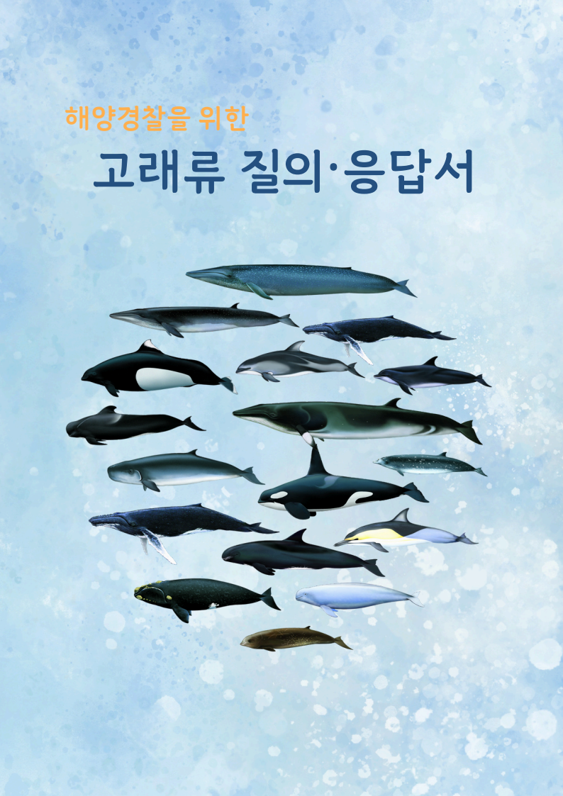 2025년 해양경찰을 위한 질의응답서