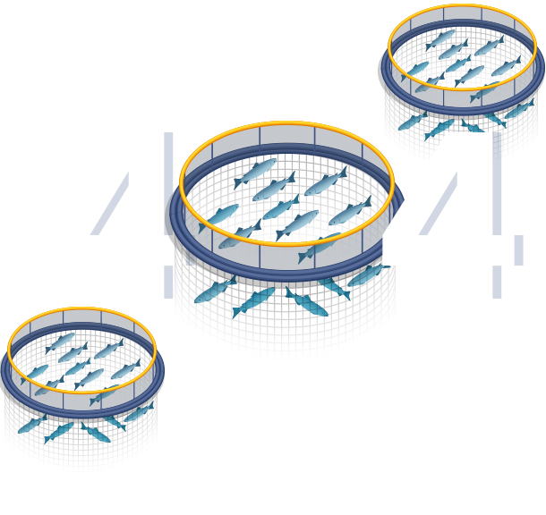 404