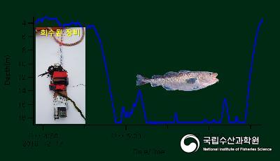 2020년 10대성과 + 바이오로깅 + 대구 + 산란 사진 섬네일