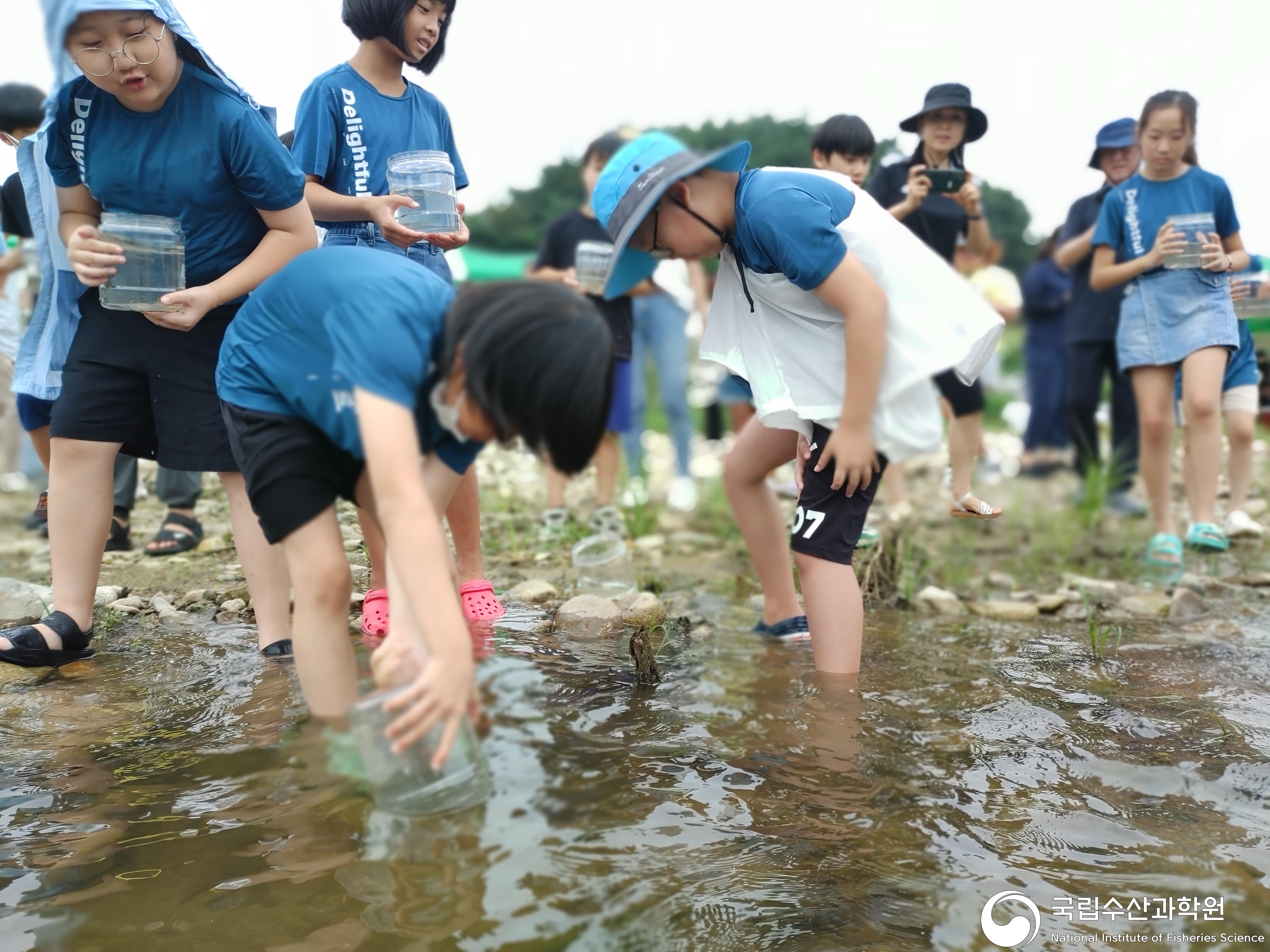 중앙내수면연구소에서는 2023년 멸종위기종 1급 감돌고기의 금강 수계내 자원회복을 위하여 금산군민들과 함께 방류행사를 금강 상류지역에서 실시하였음(23.09.19) 사진