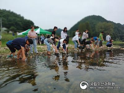 중앙내수면연구소에서는 2023년 멸종위기종 1급 감돌고기의 금강 수계내 자원회복을 위하여 금산군민들과 함께 방류행사를 금강 상류지역에서 실시하였음(23.09.19) 사진 섬네일