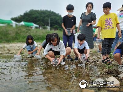 중앙내수면연구소에서는 2023년 멸종위기종 1급 감돌고기의 금강 수계내 자원회복을 위하여 금산군민들과 함께 방류행사를 금강 상류지역에서 실시하였음(23.09.19) 사진 섬네일