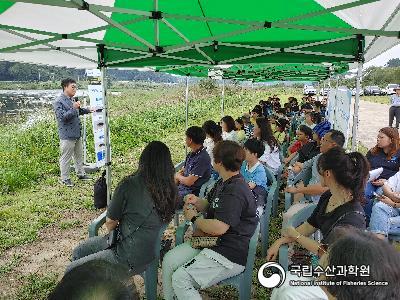 중앙내수면연구소에서는 2023년 멸종위기종 1급 감돌고기의 금강 수계내 자원회복을 위하여 금산군민들과 함께 방류행사를 금강 상류지역에서 실시하였음(23.09.19) 사진 섬네일