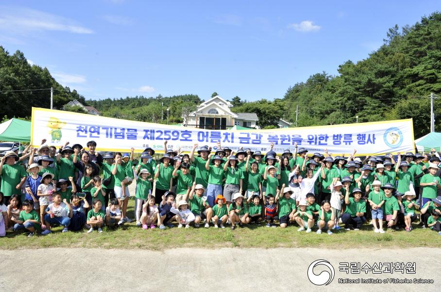 중앙내수면연구소에서는 2023년 천연기념물 제259호 어름치의 금강 수계내 복원 위하여 금산군민들과 함께 방류행사를 금강 상류지역에서 실시하였음(23.08.21) 사진