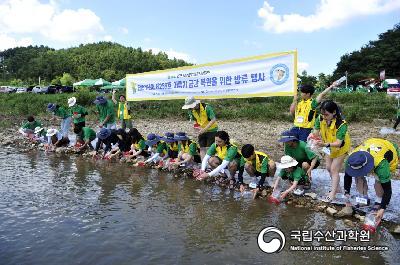 중앙내수면연구소에서는 2023년 천연기념물 제259호 어름치의 금강 수계내 복원 위하여 금산군민들과 함께 방류행사를 금강 상류지역에서 실시하였음(23.08.21) 사진 섬네일