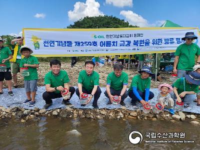 중앙내수면연구소에서는 2023년 천연기념물 제259호 어름치의 금강 수계내 복원 위하여 금산군민들과 함께 방류행사를 금강 상류지역에서 실시하였음(23.08.21) 사진 섬네일