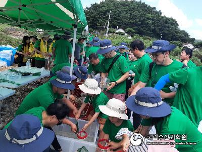 중앙내수면연구소에서는 2023년 천연기념물 제259호 어름치의 금강 수계내 복원 위하여 금산군민들과 함께 방류행사를 금강 상류지역에서 실시하였음(23.08.21) 사진 섬네일