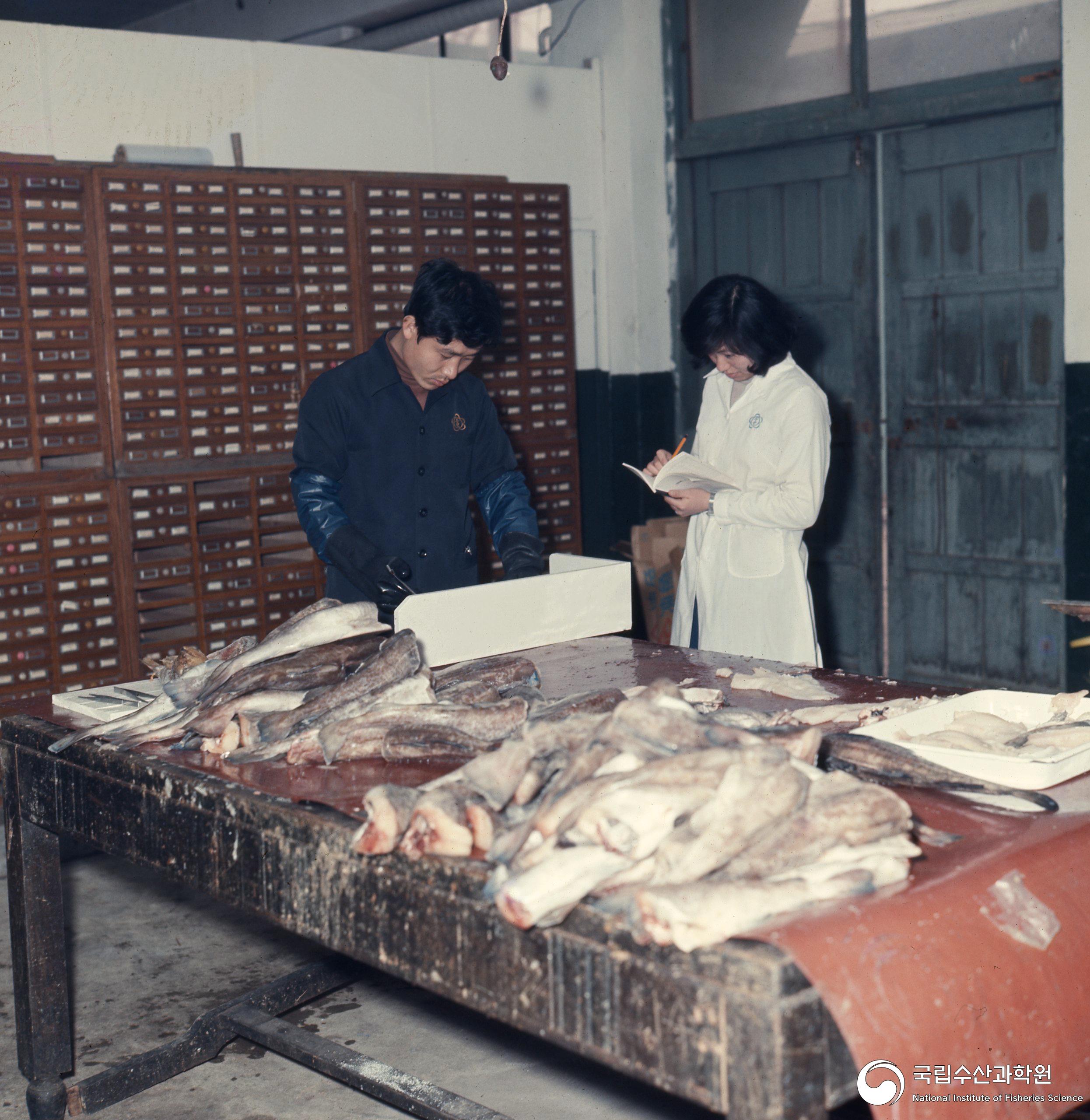 수과원 실험실 전경(1970년대) 10 사진