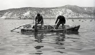 미역 양식장 전경(1960년대) 02