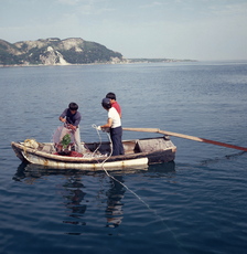 시험조업(성게, 소라 들망, 1970~80년대) 02