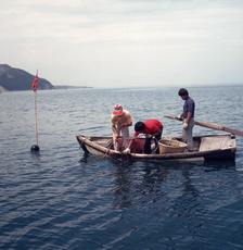 시험조업(성게, 소라 들망, 1970~80년대) 03