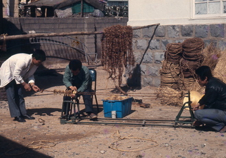 백합 채묘기 제작(1970년대)