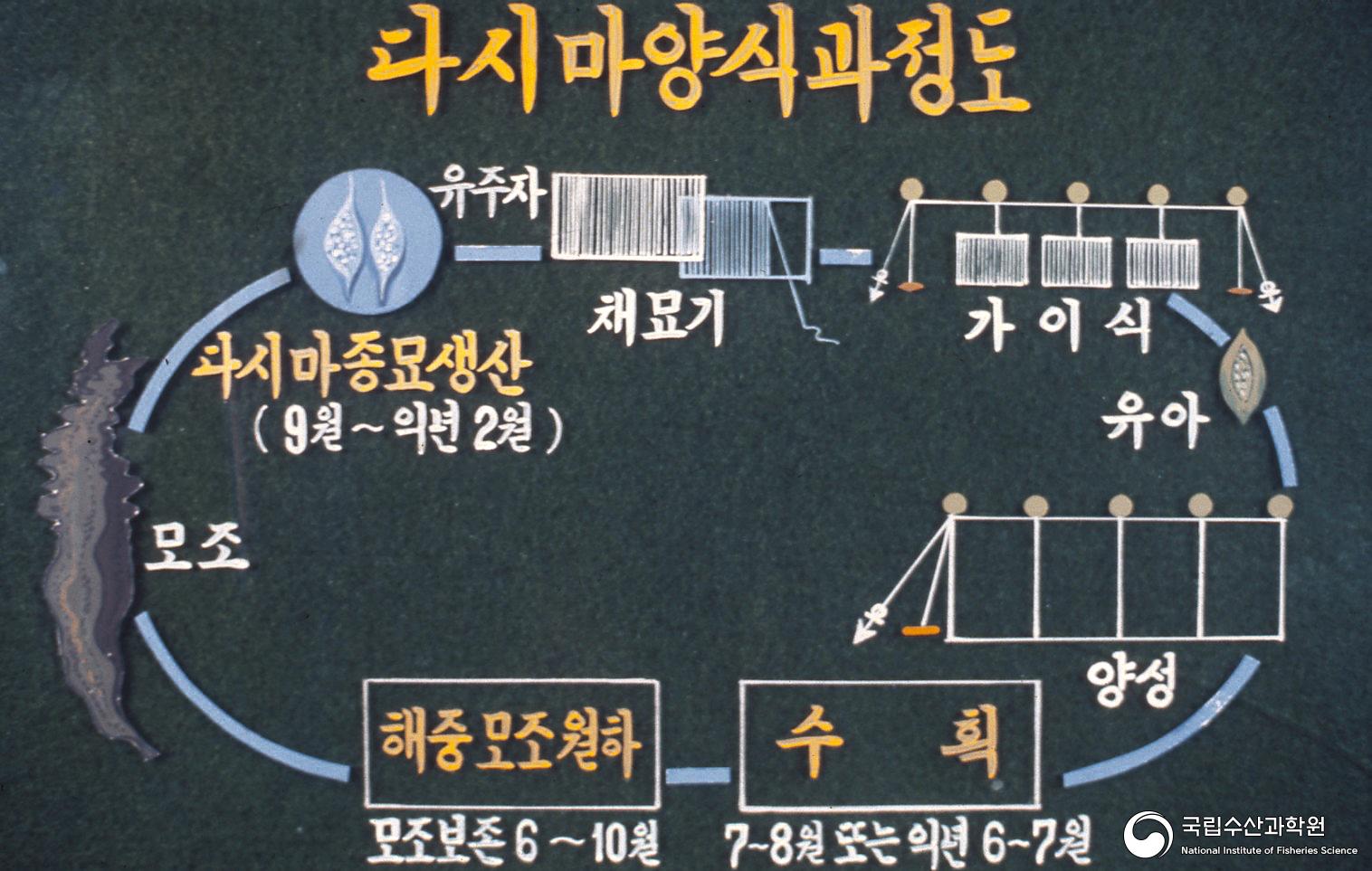 다시마 생활사(1970년대) 06 사진