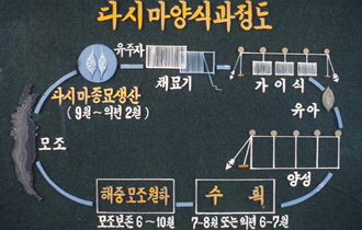 다시마 생활사(1970년대) 06