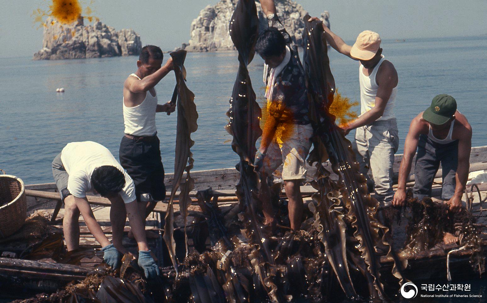 다시마 생활사(1970년대) 09 사진