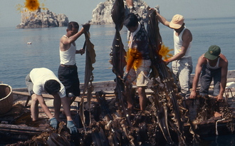 다시마 생활사(1970년대) 09 사진 섬네일