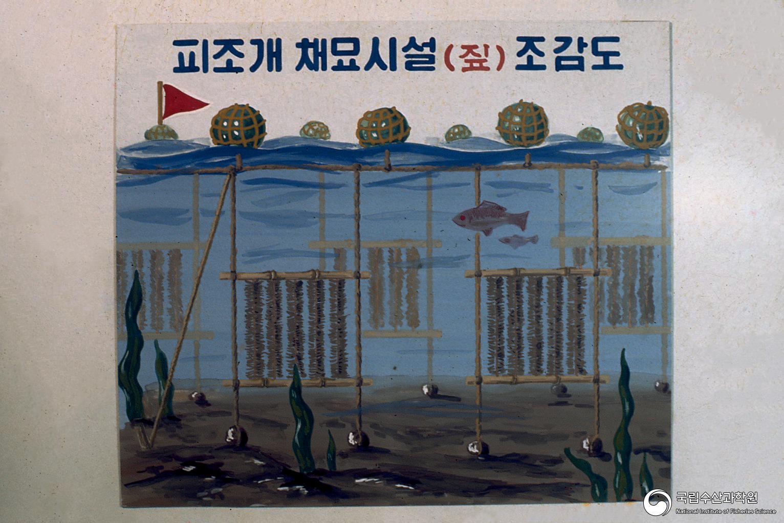 피조개(피조개 채묘시설 조감도, 1970년대) 01 사진