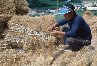 피조개(피조개 채묘기 제작, 1970년대) 06 사진 섬네일