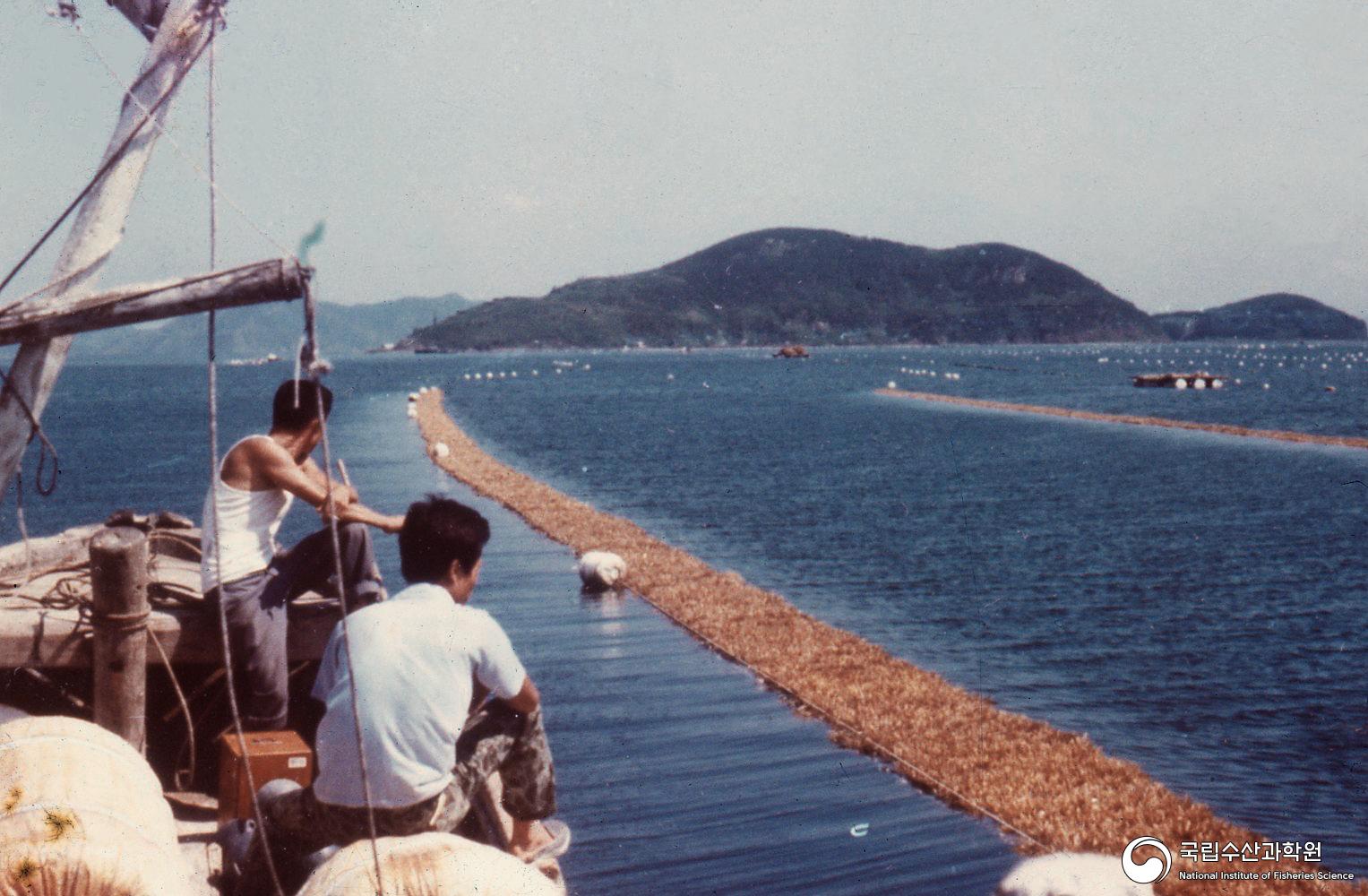 해상 양식장 전경(1970년대) 사진