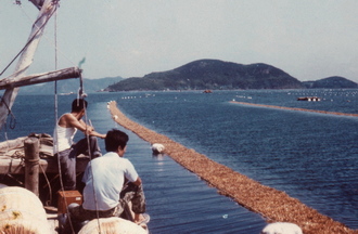 해상 양식장 전경(1970년대) 사진 섬네일