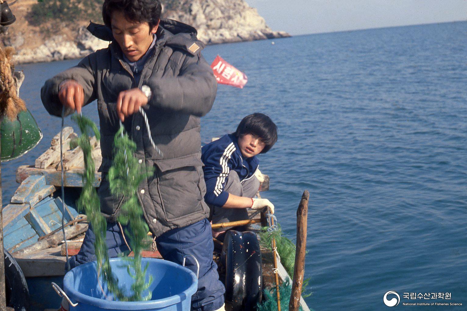 해상 시료 채집 풍경(1980년대) 사진