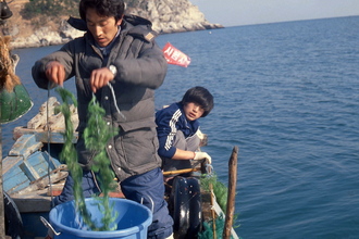 해상 시료 채집 풍경(1980년대)