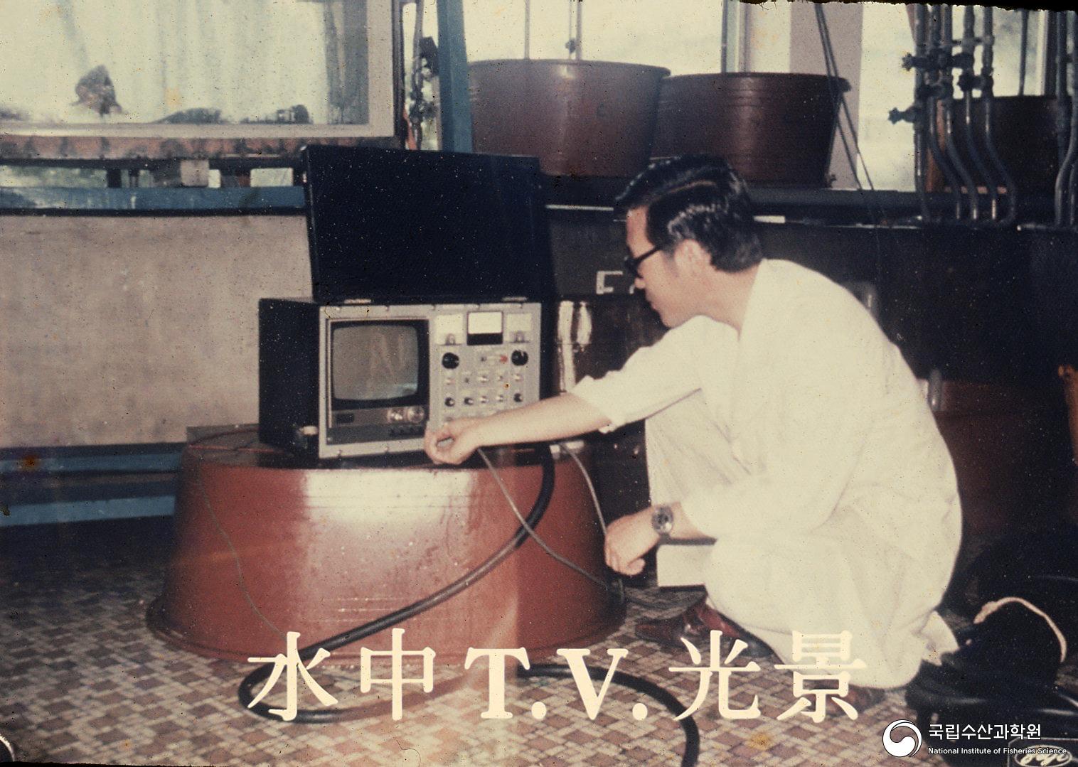 수중TV 광경(수산공학, 1980년대) 사진