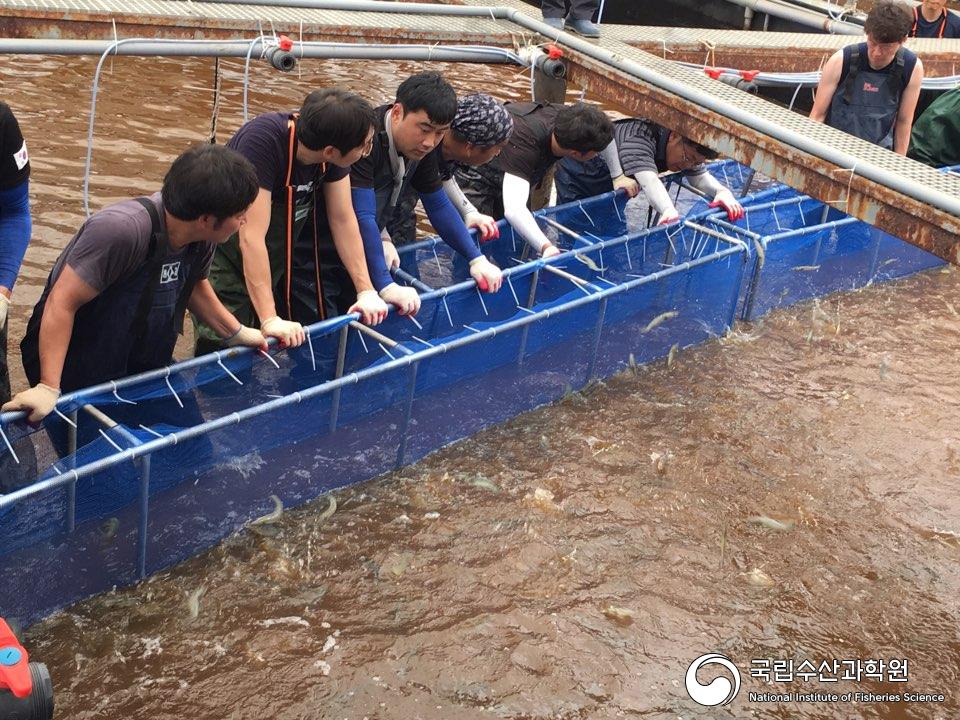 바이오플락, 새우, 수확, 세미나 사진