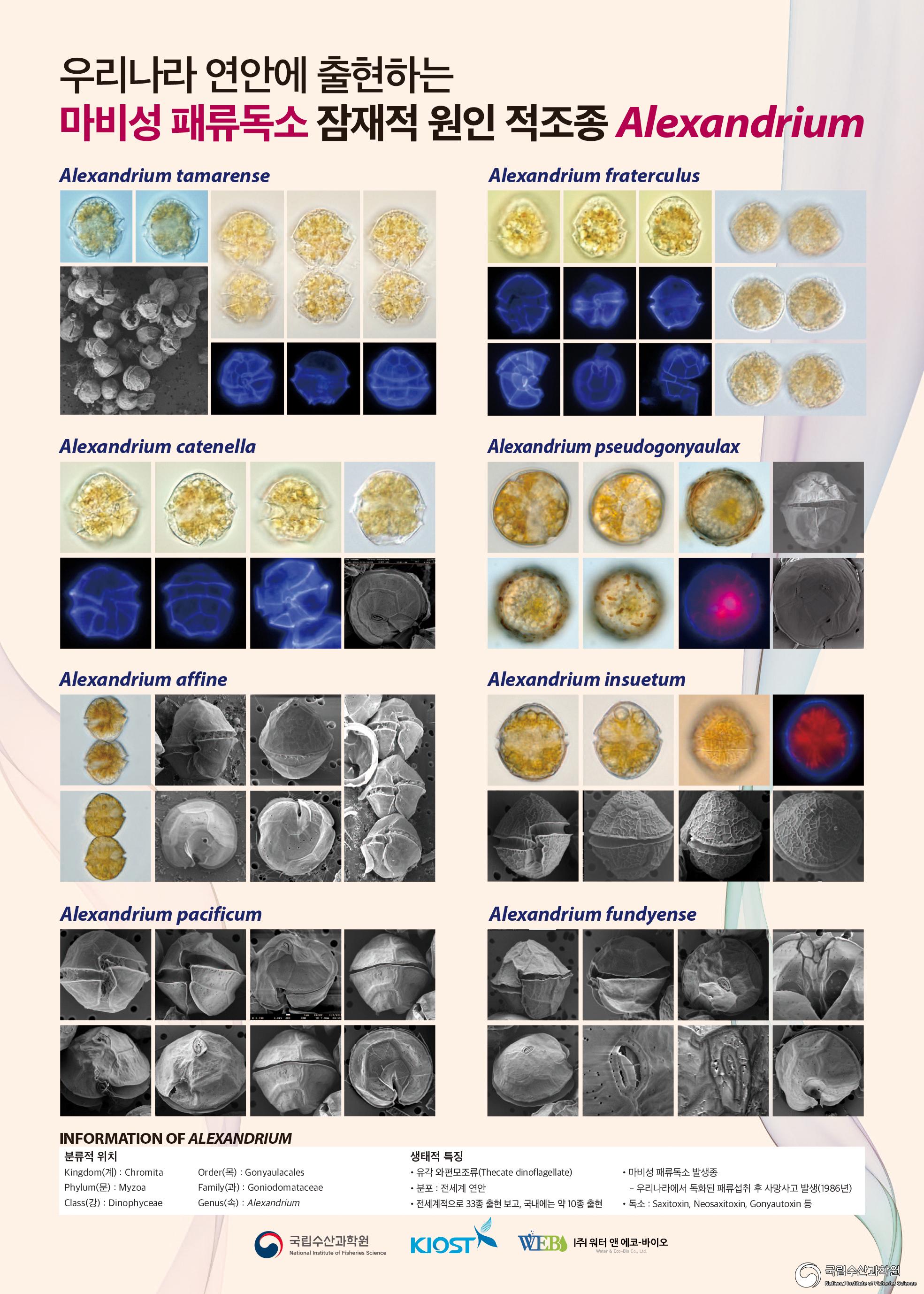 마비성패류독소 원인종 Alexandrium 포스터 사진