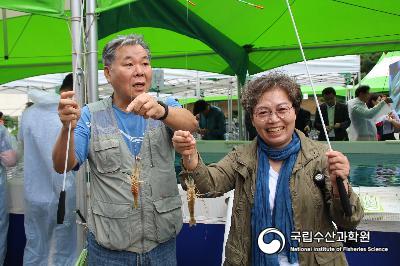 큰징거미새우, 수확행사 사진 섬네일