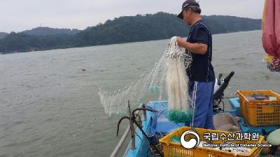 내수면, 어구, 어업현장 사진 섬네일