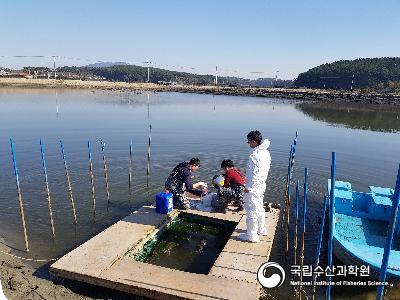 역학조사, 질병, 현장 사진 섬네일