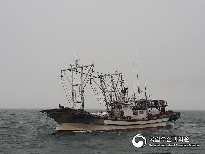 연안개량안강망어선, 현대안강망어선, 충남안강망어선, 안강망9.77톤 사진 섬네일