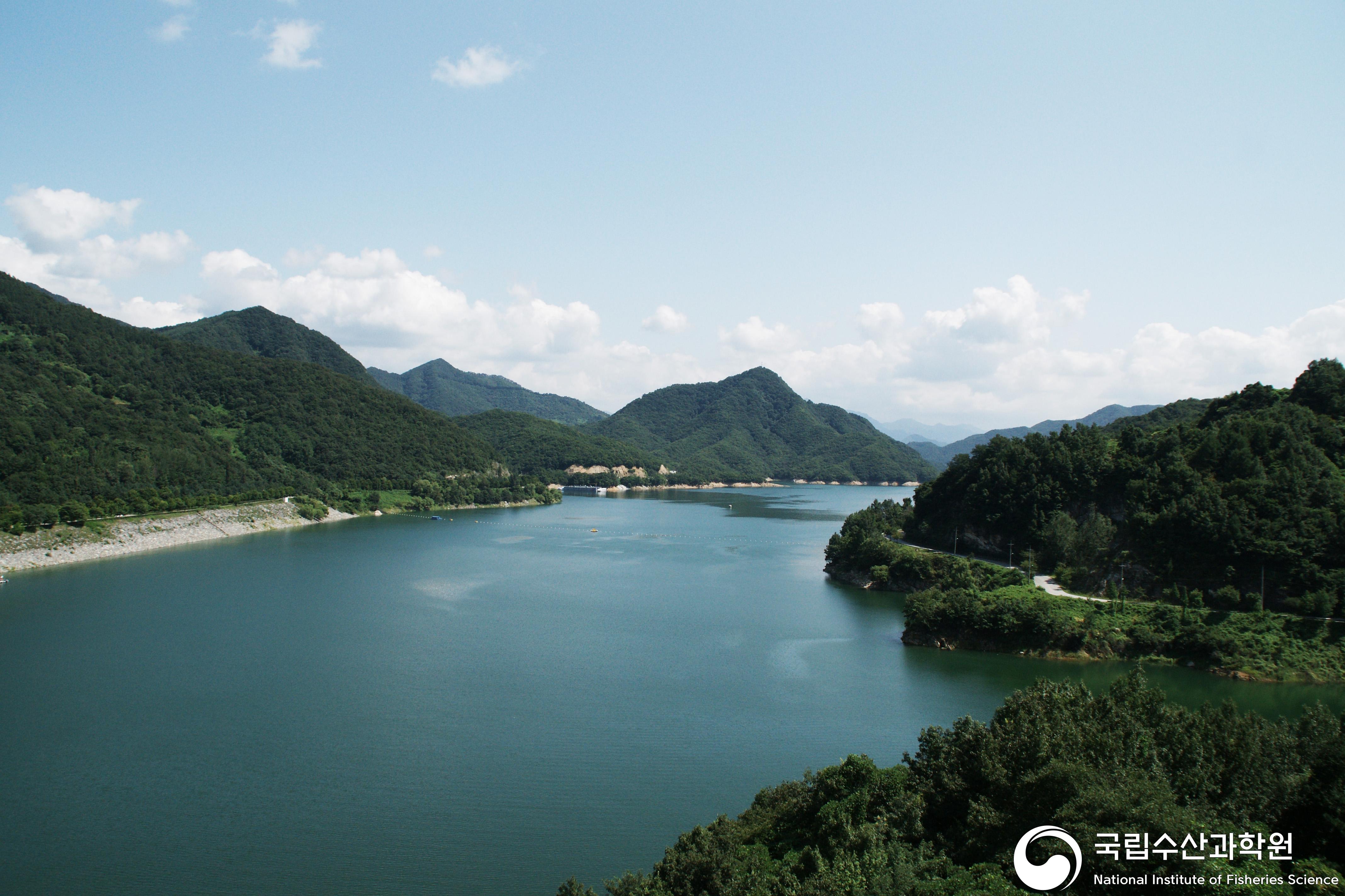 내수면,충주호,수산자원,환경조사 사진