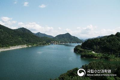 내수면,충주호,수산자원,환경조사 사진 섬네일