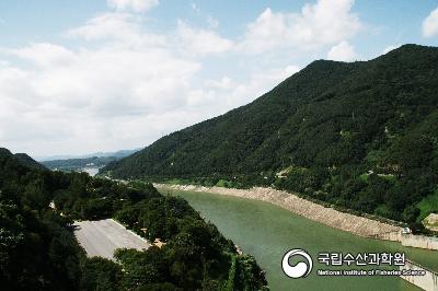 내수면,충주호,수산자원,환경조사 사진 섬네일