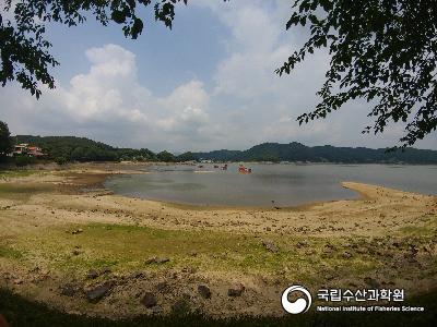 내수면,예당호,갈수기,가뭄 사진 섬네일